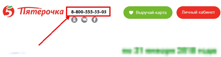 Пятерочка горячая линия для покупателей выручай карта
